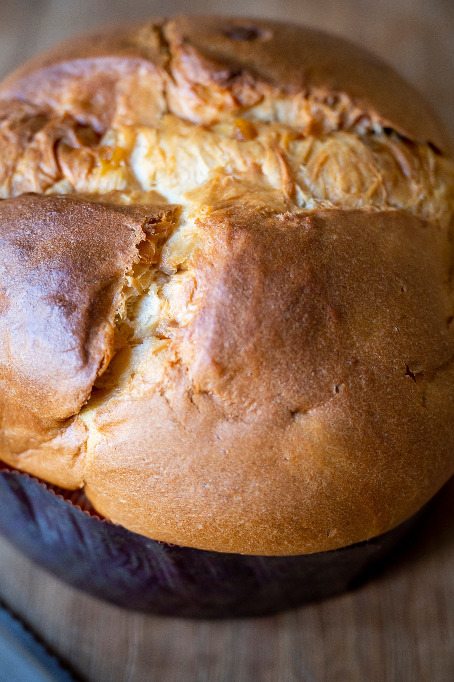 MassaBon panettone