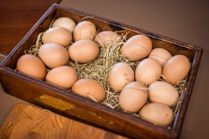 Eggs from Selva